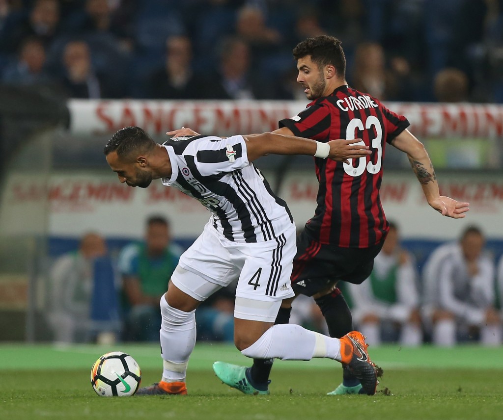 Benatia contrasta Cutrone.