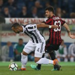Benatia contrasta Cutrone.